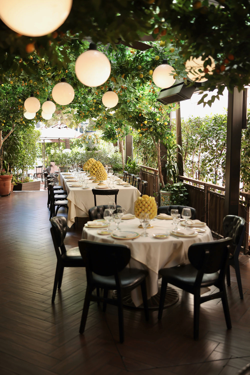 Photo Oct 21 2025, 11 40 57 AM